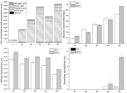 中科院科学家提出新方法 前沿科技助力提升纤维素生物质厌氧发酵沼气产量与生物质能资源数据库信息系统